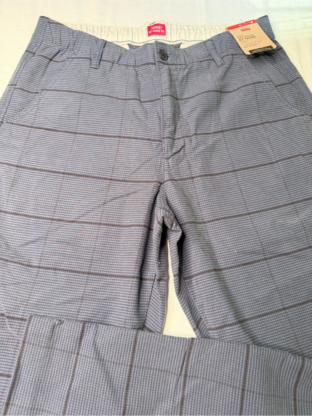Levi's Blue Striped Flat Front Pants
